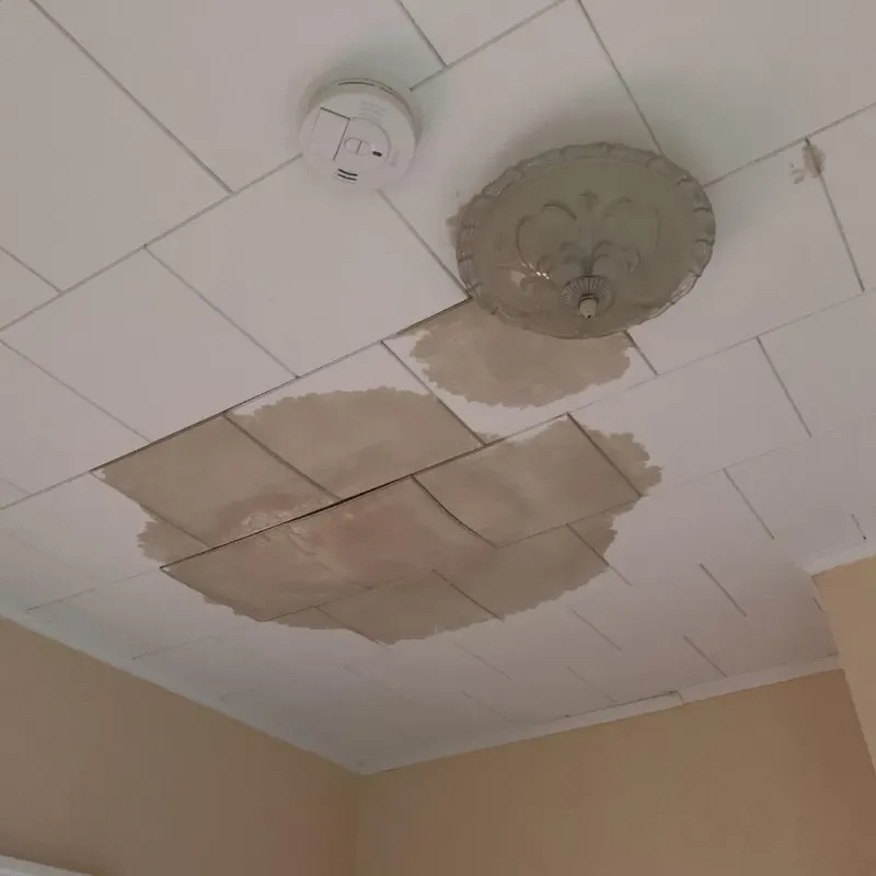 Ceiling Water Damage Repair in Springfield, VT