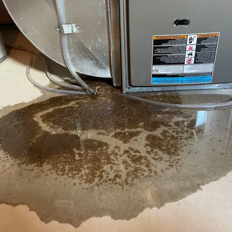 Pipe Burst and Leak Restoration in Springfield, VT