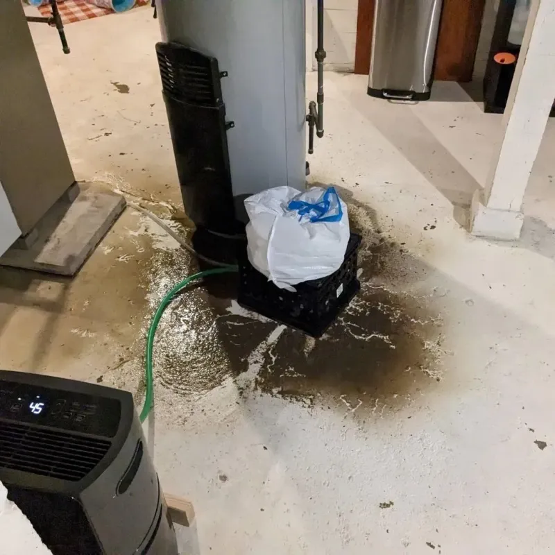 Sewage Backup Cleanup Service in Springfield, VT